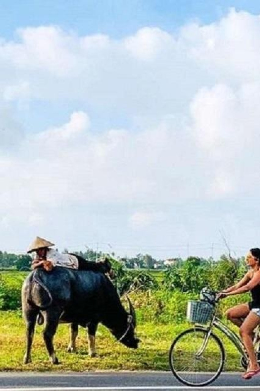 Hoi An Eco Bicycle Tour - Key Points