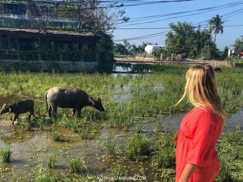 Hoi An : Eco Bicycle Tour with Fishing and Lunch/Dinner - Frequently Asked Questions