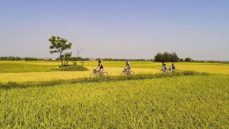 Hoi an : Eco Bicycle Tour With Fishing and Lunch/Dinner - Key Points