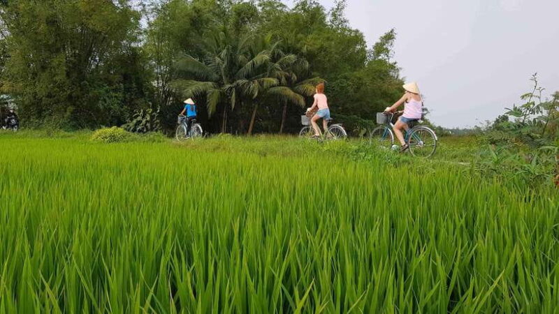 Hoi an : Eco Bicycle Tour With Fishing and Lunch/Dinner - Itinerary Highlights