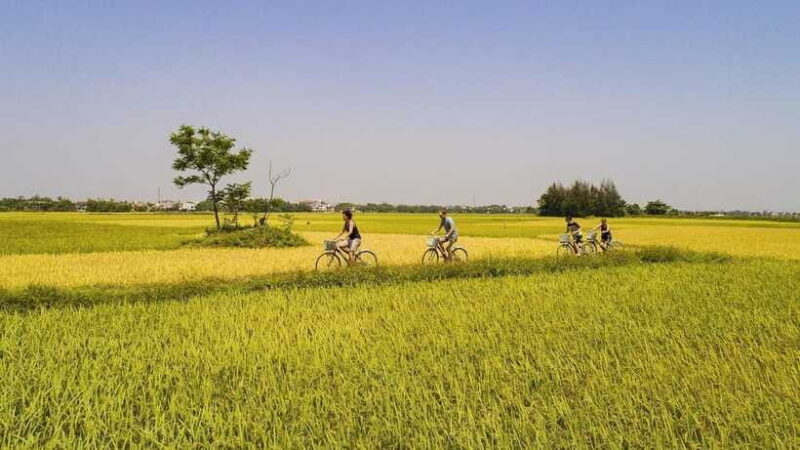 Hoi an : Eco Bicycle Tour With Fishing and Lunch/Dinner - Important Information
