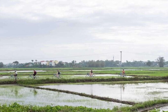 Hoi an : Eco Bicycle Tour With Fishing and Lunch/Dinner - Customer Reviews and Satisfaction