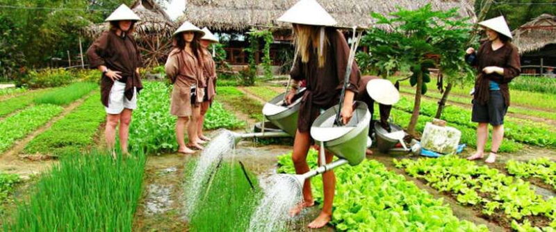 Hoi An Eco Tour : Bike, Farm and Lantern Making Experience - Cultural Immersion