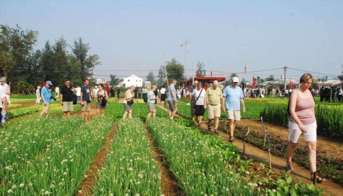 Hoi An Eco Tour : Bike, Farm and Lantern Making Experience - Booking and Reservation