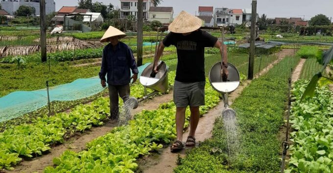 Hoi an - Eco-Tour, Farming, Cooking Class, and Foot Massage - Foot Massage