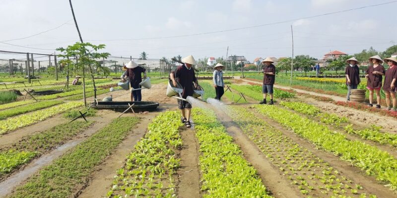 Hoi An: Evening Cooking Class With Locals in Herbs Village - Tra Que Cooking Menu
