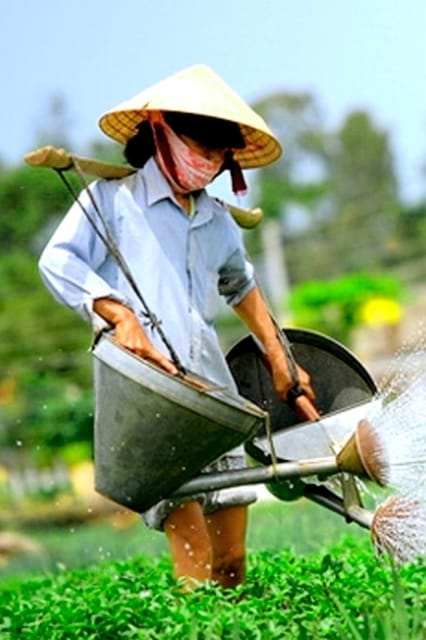 Hoi An: Evening Traditional Cooking Class With Local Chef - Booking and Availability