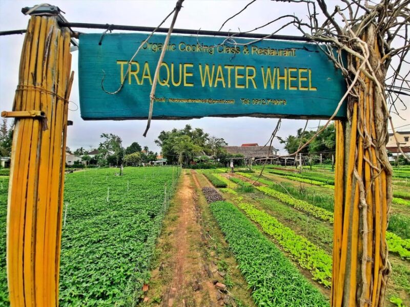 Hoi An: Explore Countryside By Bike - Private Tour - Afternoon Activities