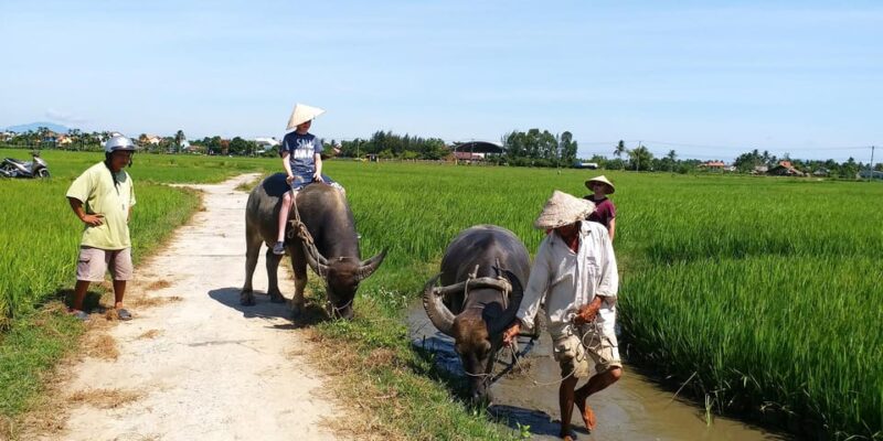 Hoi An: Farming and Fishing by Bicycle at Tra Que Village - Tour Features