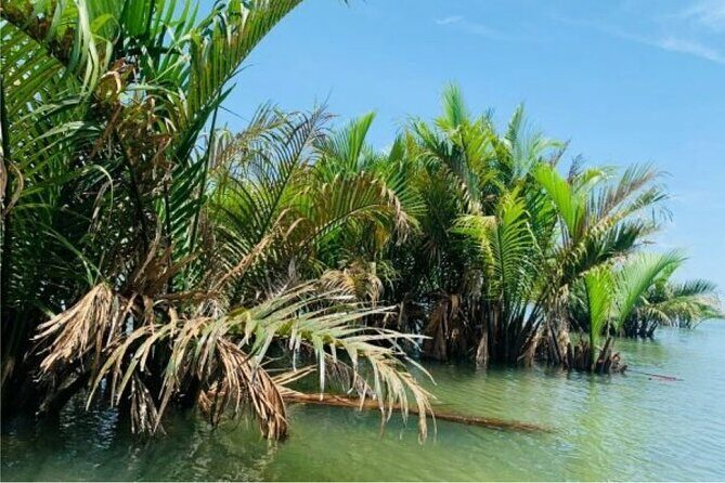 Hoi An Farming And Fishing Life - A Closer Look at the Itinerary: What You Can Expect