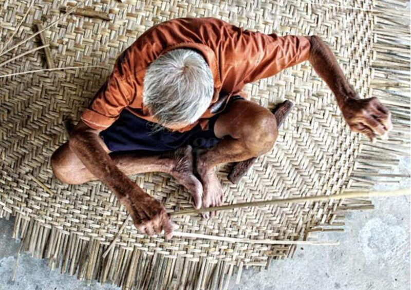 Hoi An: Farming and Fishing Tour With Basket Boat Ride - Discovering Rice Farming Techniques