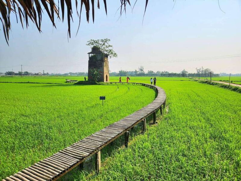 Hoi An: Farming and Fishing Tour With Basket Boat Ride - Participating in Tra Que Village Farming Activities