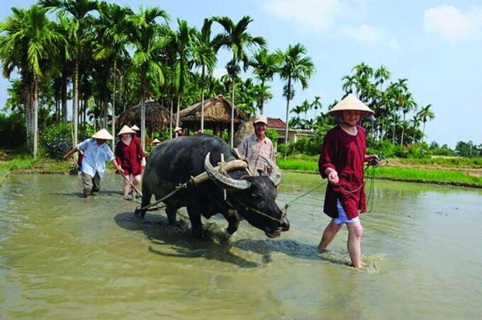 Hoi An: Farming and Fishing Tour With Basket Boat Ride - Tour Inclusions and What to Bring