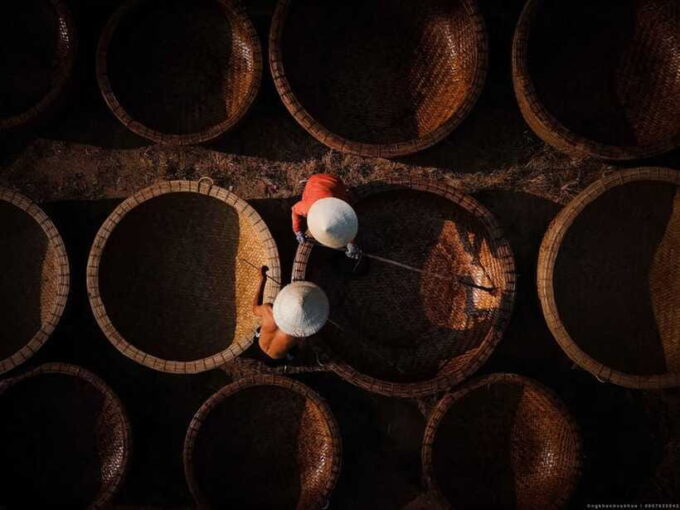 Hoi An: Farming and Fishing Tour With Basket Boat Ride - Tour Preparation and Restrictions