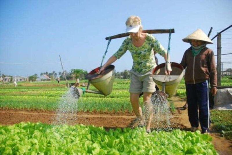Hoi An Fishing Village & Cooking Tour - Key Points