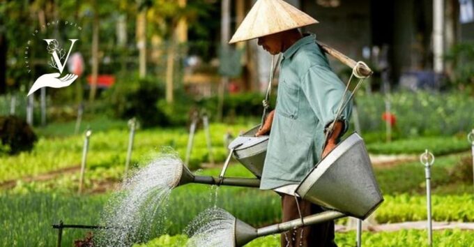 Hoi an Food - Eat Where the Locals Eat - Travel Guide Book - Customer Support and Information