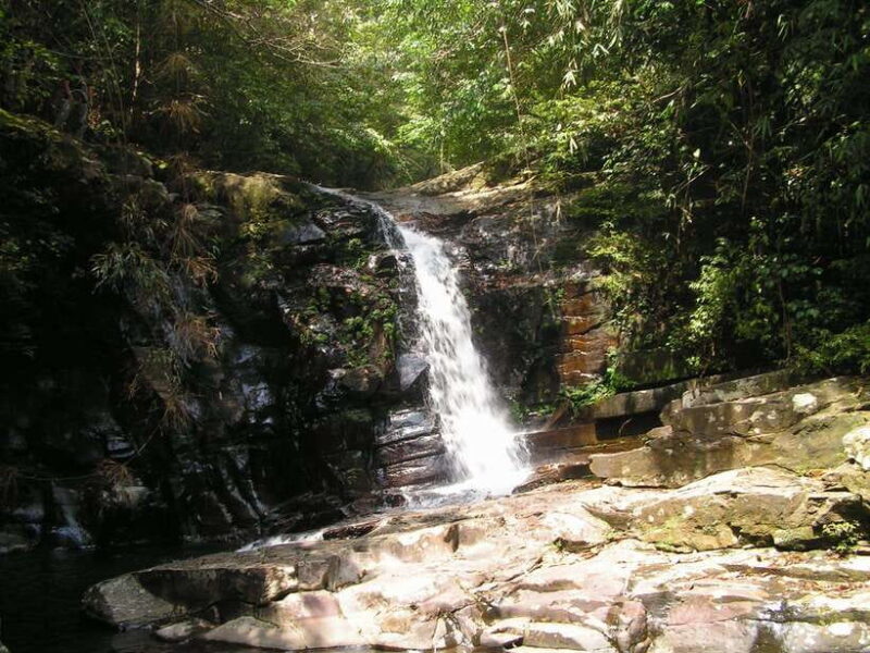 Hoi An: Full-day Bach Ma National Park Trek & Beach Retreat - Important Information and Requirements