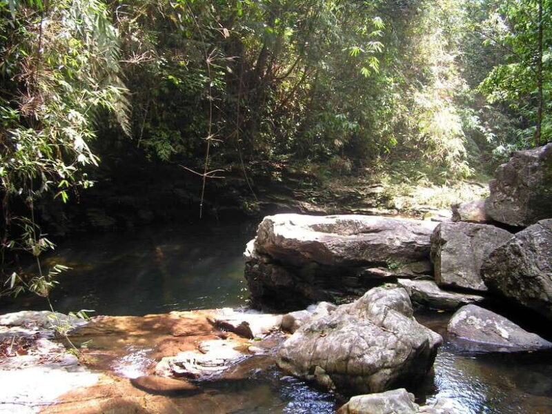 Hoi An: Full-day Bach Ma National Park Trek & Beach Retreat - Exploring the Wonders of Do Quyen Waterfall