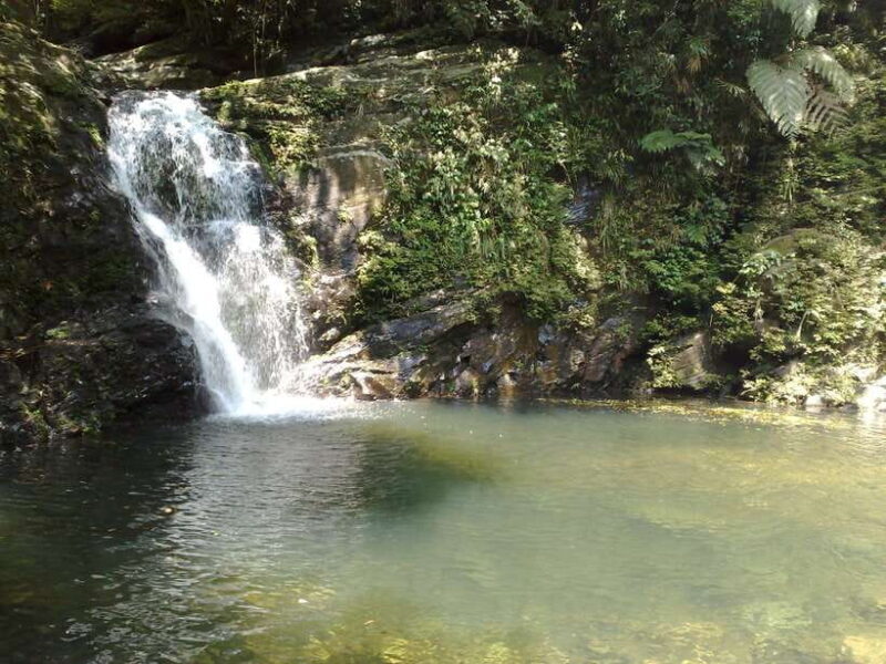 Hoi An: Full-day Bach Ma National Park Trek & Beach Retreat - Relaxing at Lang Co Beach