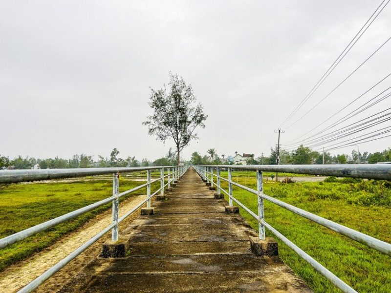 Hoi An: Full-Day Countryside Tour With Boat Trip and Lunch - Key Points