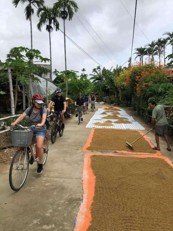 Hoi An: Half-Day Bike Tour With Local Guide - Cultural Experience