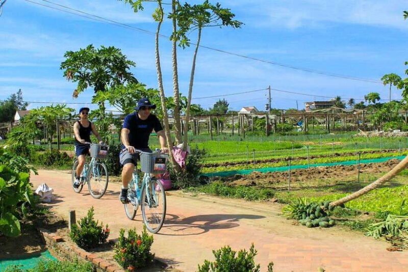 Hoi An: Half-day Biking Through Hoi An's Culinary Delights - Customer Feedback