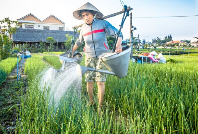 Hoi An: Half-day Biking Through Hoi An's Culinary Delights - Tra Que Village: A Countryside Cycling Adventure