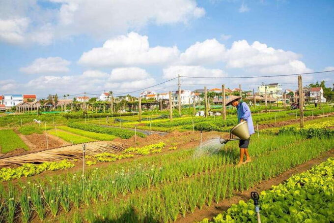 Hoi An: Half-day Biking Through Hoi An's Culinary Delights - Frequently Asked Questions