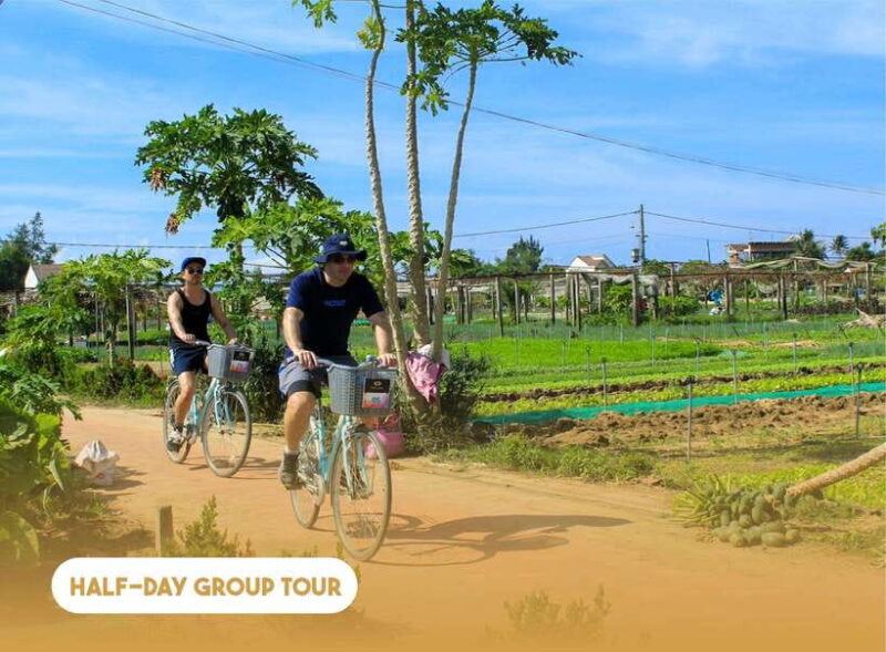 Hoi An: Half-day Farm To Table Adventure In Tra Que Village - Itinerary and Transportation