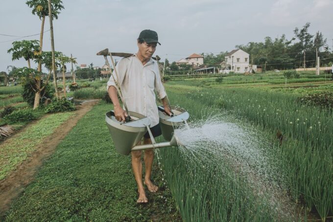 Hoi An: Half-day Farm To Table Adventure In Tra Que Village - Inclusions, Exclusions, and Booking