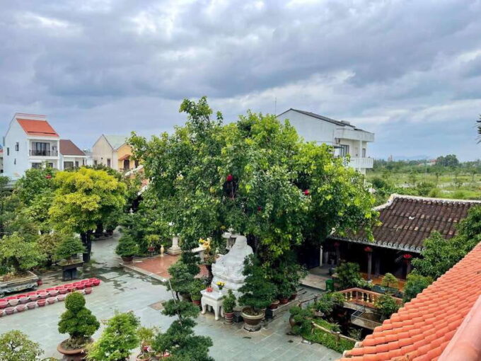 Hoi an - Half-Day Mindfulness Meditation Retreat - Since You Asked