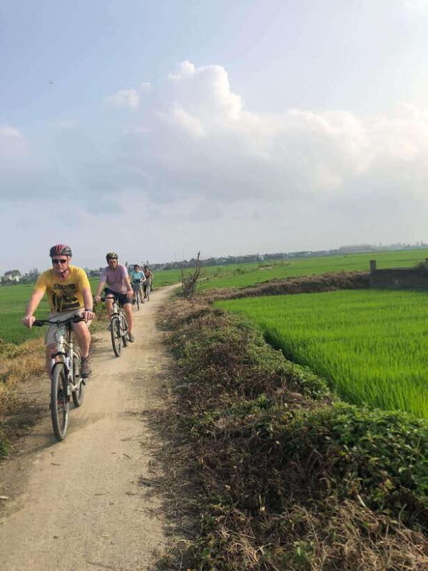 Hoi An: Half-Day My Son Sanctuary Bike Tour - Biking Experience