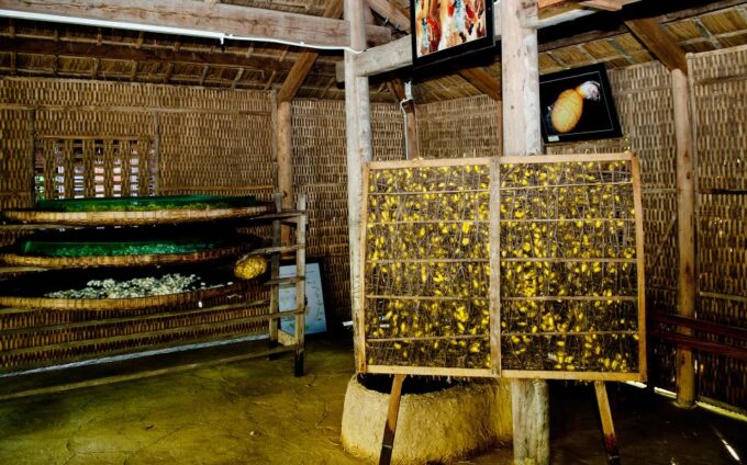 Hoi An: Half-Day Silk Cloth Producing Process Tour - Highlights of the Tour