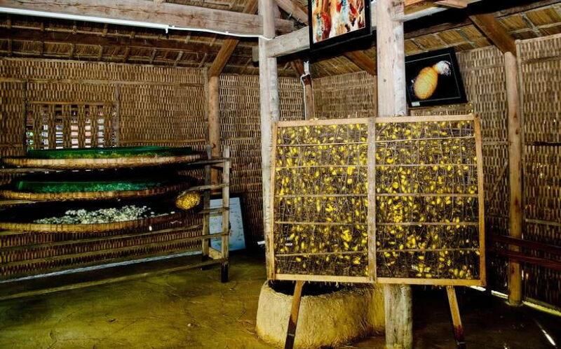 Hoi An: Half-day Silk Weaving Discovery Tour - Participant Information