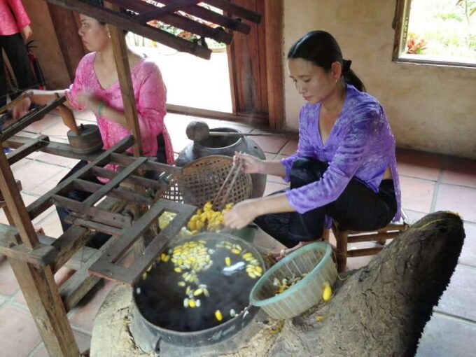 Hoi An: Half-day Silk Weaving Discovery Tour - Since You Asked
