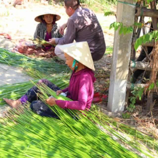 Hoi An: Hidden Gems Vespa Tour - Visiting Famous Attractions