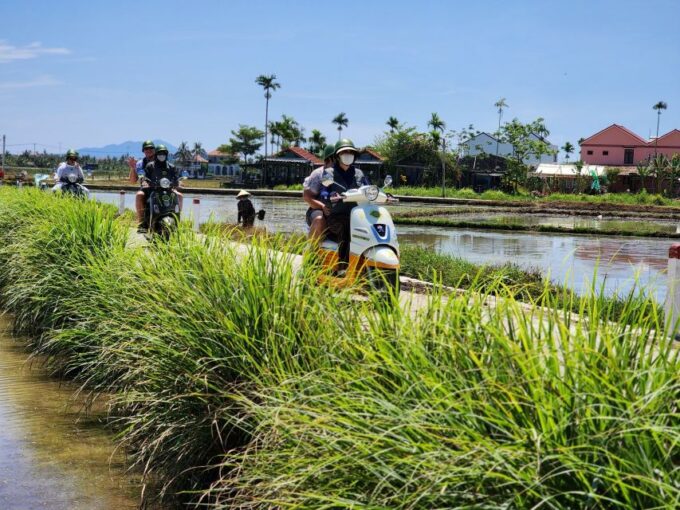 Hoi An Highlights and Hidden Gems Tour by Vespa - Important Safety Information
