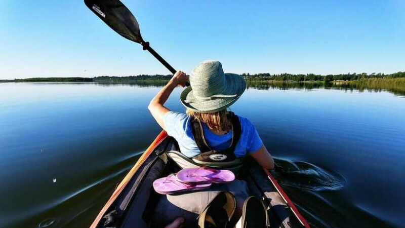 Hoi An: Kayaking Tour of the Waterways - Wildlife and Biodiversity Along the Journey