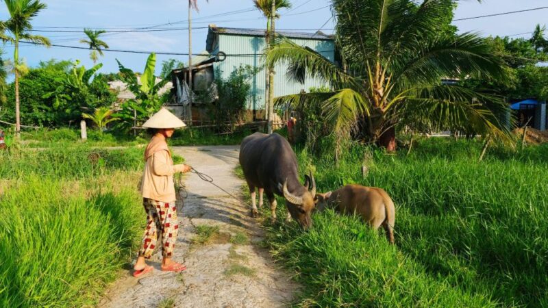 Hoi An Lantern Making & Countryside Vespa Tour - Inclusions and Exclusions