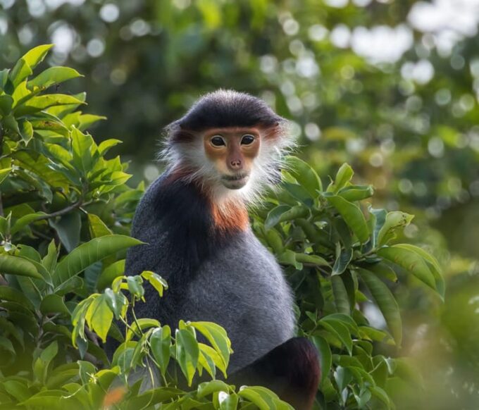 HOI AN: Marble Mountains, Monkey Mountain, Am Phu Cave … - Frequently Asked Questions