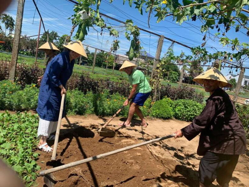 Hoi An: Marble Mountains, Monkey Mountain and Cooking Class - Key Points
