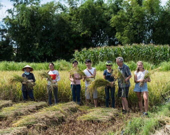 Hoi An: Morning Countryside Tour by Bike - Cycling Through Picturesque Countryside
