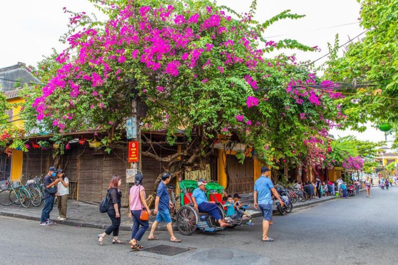 Hoi An: My Son Sanctuary & Ancient Town Day Tour With Lunch - Hoi An Museum and Highlights