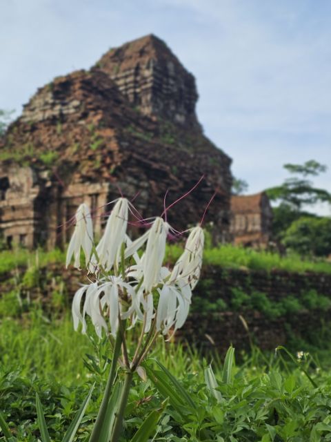 Hoi An: My Son Sanctuary and Sunset River Cruise With BBQ - Frequently Asked Questions