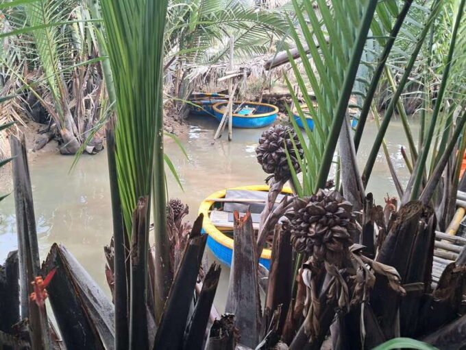 Hoi An: My Son Sanctuary With Basket Boat and Lunch Options - Basket Boat Ride at Bay Mau Coconut Forest