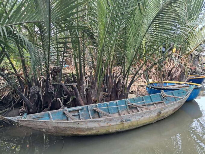 Hoi An: My Son Sanctuary With Basket Boat and Lunch Options - Frequently Asked Questions