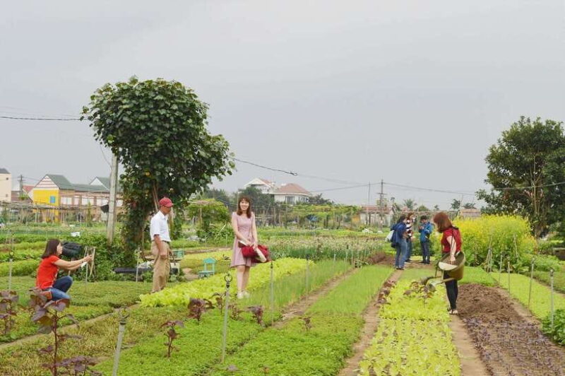 Hoi An: Pottery, Carpentry, and Farming Village Tour - Tra Que Vegetable Village