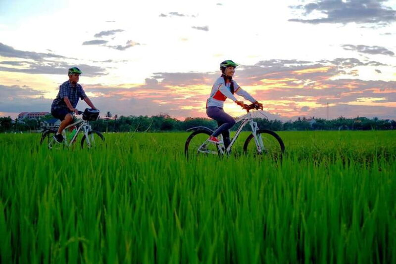 Hoi An: Private Evening Food Tour by Bike - Itinerary and Highlights