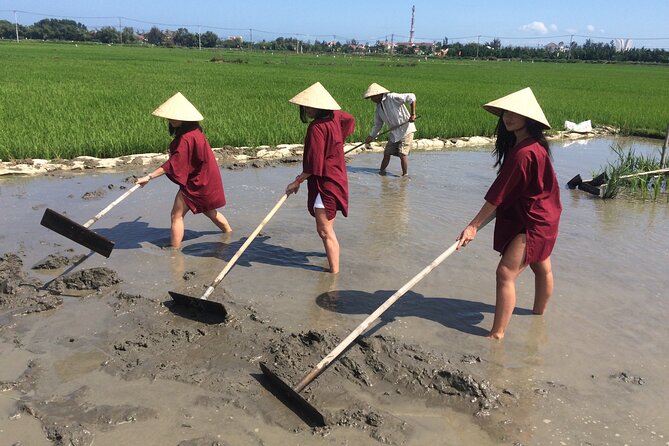 Hoi an Rice Farm Tour and Buffalo Riding With Local Home Meal - Good To Know