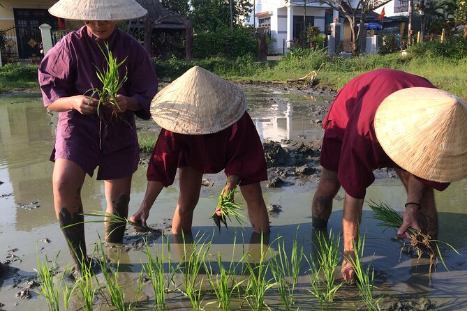 Hoi an Rice Farm Tour and Buffalo Riding With Local Home Meal - Live Cooking Demonstration